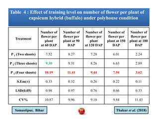 Table 4 : Effect of training level on number of flower per plant of
capsicum hybrid (buffalo) under polyhouse condition
Table 4 : Effect of training level on number of flower per plant of
capsicum hybrid (buffalo) under polyhouse condition
Treatment
Number of
flower per
plant
at 60 DAP
Number of
flower per
plant at 90
DAP
Number of
flower per
plant
at 120 DAP
Number of
flower per
plant at 150
DAP
Number of
flower per
plant at 180
DAP
P 1 (Two shoots) 7.52 8.27 7.28 6.01 2.24
P 2 (Three shoots) 9.30 9.31 8.26 6.63 2.89P 2 (Three shoots) 9.30 9.31 8.26 6.63 2.89
P 3 (Four shoots) 10.19 11.41 9.44 7.54 3.62
S.Em(±) 0.33 0.32 0.26 0.22 0.11
LSD(0.05) 0.98 0.97 0.76 0.66 0.33
CV% 10.87 9.96 9.18 9.84 11.43
Thakur et al. (2018)Samastipur, Bihar 37
 