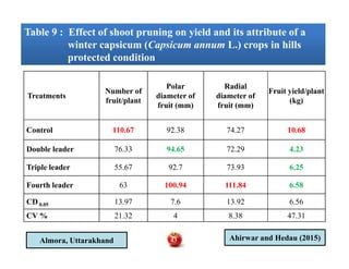 Table 9 : Effect of shoot pruning on yield and its attribute of a
winter capsicum (Capsicum annum L.) crops in hills
protected condition
Table 9 : Effect of shoot pruning on yield and its attribute of a
winter capsicum (Capsicum annum L.) crops in hills
protected condition
Treatments
Number of
fruit/plant
Polar
diameter of
fruit (mm)
Radial
diameter of
fruit (mm)
Fruit yield/plant
(kg)
Control 110.67 92.38 74.27 10.68
Double leader 76.33 94.65 72.29 4.23
Triple leader 55.67 92.7 73.93 6.25
Fourth leader 63 100.94 111.84 6.58
CD 0.05 13.97 7.6 13.92 6.56
CV % 21.32 4 8.38 47.31
Ahirwar and Hedau (2015)Almora, Uttarakhand 43
 