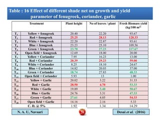 Treatment Plant height No of leaves / plant Fresh Biomass yield
(kg/100 m2)
T1 Yellow + fenugreek 20.40 22.20 93.67
T2 Red + fenugreek 25.25 28.13 128.33
T3 White + fenugreek 22.20 22.87 93.61
T4 Blue + fenugreek 23.23 25.10 109.56
T5 Green + fenugreek 23.70 27.23 117.67
T6 Open field + fenugreek 12.69 18.00 20.00
T7 Yellow + Coriander 7.95 16.23 13.00
T8 Red + Coriander 20.39 29.23 59.00
T9 White + Coriander 8.25 18.10 24.67
Table : 16 Effect of different shade net on growth and yield
parameter of fenugreek, coriander, garlic
Table : 16 Effect of different shade net on growth and yield
parameter of fenugreek, coriander, garlic
T8 Red + Coriander 20.39 29.23 59.00
T9 White + Coriander 8.25 18.10 24.67
T10 Blue + Coriander 14.82 20.03 37.00
T11 Green + Coriander 18.74 27.83 48.33
T12 Open field + Coriander 5.93 13 1.00
T13 Yellow + Garlic 20.02 3.22 31.33
T14 Red + Garlic 28.50 4.70 53.33
T15 White + Garlic 19.89 3.40 50.67
T16 Blue + Garlic 24.76 3.31 47.33
T17 Green + Garlic 27.61 4.05 54.33
T18 Open field + Garlic 14.16 2.16 5.33
C. D. @ 5% 1.92 1.34 14.29
N. A. U, Navsari Desai et al. (2016)50
 