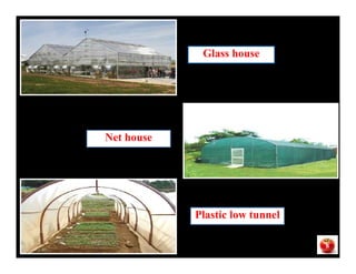 Glass house
Net houseNet house
Plastic low tunnel
8
 