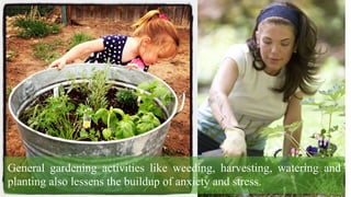 General gardening activities like weeding, harvesting, watering and
planting also lessens the buildup of anxiety and stress.
 