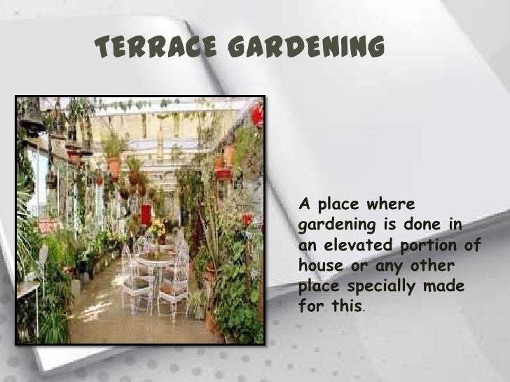 Roof Gardening Definition
