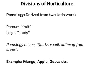 Pomology Examples Horticulture | PPTX