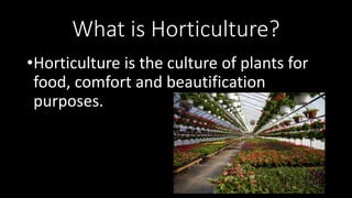 What is Horticulture?
•Horticulture is the culture of plants for
food, comfort and beautification
purposes.