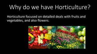 Why do we have Horticulture?
Horticulture focused on detailed deals with fruits and
vegetables, and also flowers.