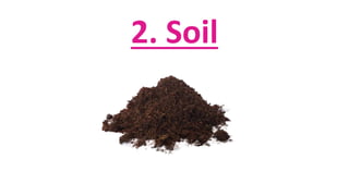 2. Soil
 