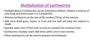Multiplication of earthworms
• Multiplication of earthworms can be achieved as follows. Prepare a mixture of
cow-dung and dried leaves in 1:1 proportion.
• Release earthworms at the rate of 50 numbers/10 kg. of the mixture.
• Add more dried grass, leaves, or husk and mix well and keep the mixture in
shade.
• Sprinkle water over it from time to time to maintain the moisture level.
• Earthworms multiply nearly 300 times within one to two months.
• These earthworms can be used to prepare vermicompost.
 