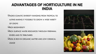 HORTICULTURE IN NORTHEAST INDIA PRESENTATION | PPTX
