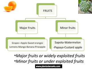 Horticulture introduction - Definition and Branches of Horticulture | PPT