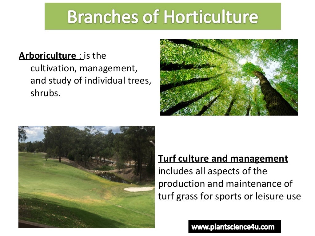 Horticulture introduction Definition and Branches of Horticulture
