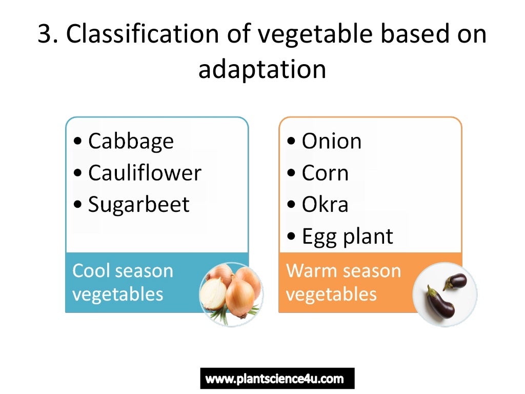 Horticulture introduction Definition and Branches of Horticulture