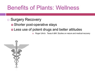 Benefits of Plants: Wellness<br />Surgery Recovery<br />Shorter post-operative stays<br />Less use of potent drugs and bet...