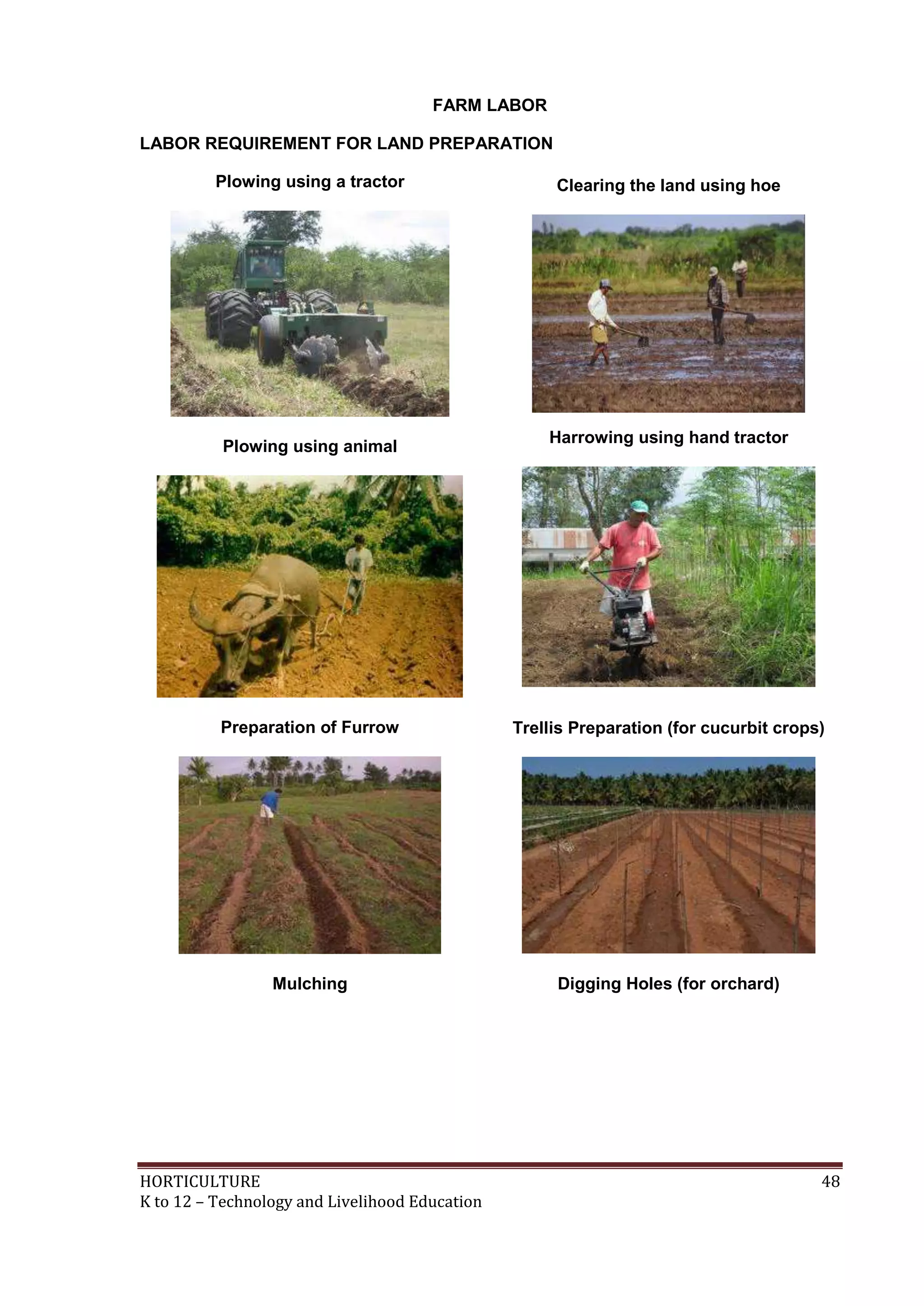 HORTICULTURE 48
K to 12 – Technology and Livelihood Education
FARM LABOR
LABOR REQUIREMENT FOR LAND PREPARATION
Plowing using a tractor Clearing the land using hoe
Plowing using animal
Harrowing using hand tractor
Preparation of Furrow Trellis Preparation (for cucurbit crops)
Mulching Digging Holes (for orchard)
 