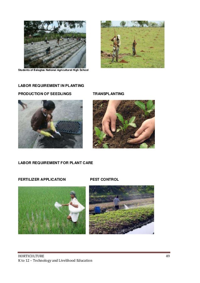 K to 12 Horticulture Learning Module