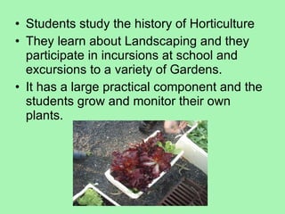 Students study the history of Horticulture They learn about Landscaping and they participate in incursions at school and excursions to a variety of Gardens. It has a large practical component and the students grow and monitor their own plants.  