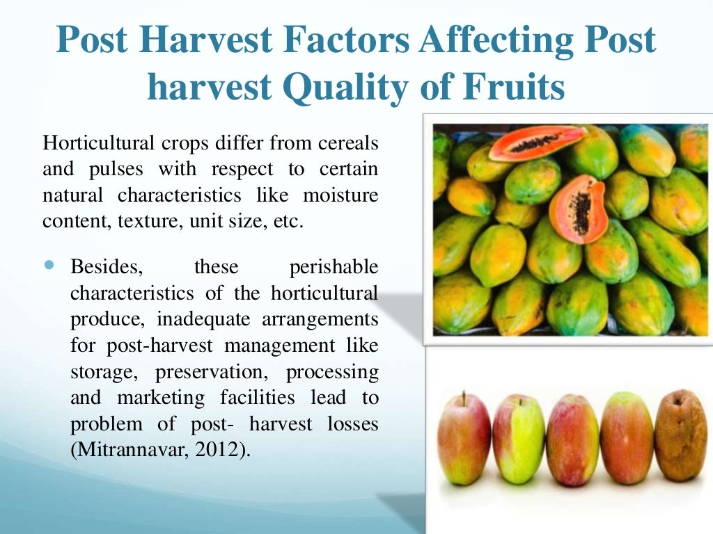 Factors Affecting Quality Of Fruits.