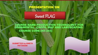 Sweet FLAG
COURSE NAME-PRODUCTION TECHNOLOGY FOR
ORNAMENTAL CROPS, MAP AND LANDSCAPING.
COURSE CODE-(HT-243)
SUBMITTED by-SWETA
PATTANAIK
PRESENTATION ON
 
