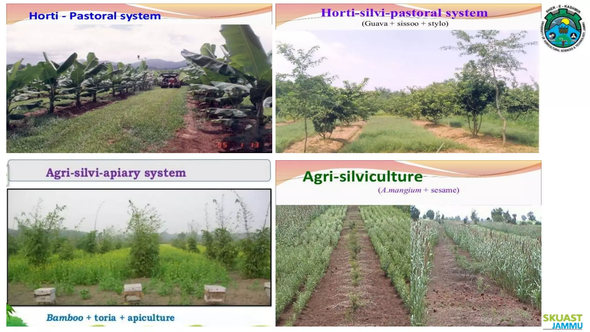 Horticulture Scenario in India | PPTX