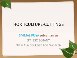 HORTICULTURE-CUTTINGS
S.VIMAL PRIYA subramanian
3rd BSC BOTANY
NIRMALA COLLEGE FOR WOMEN
 