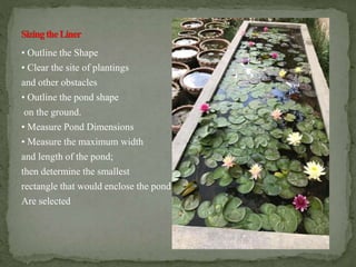 • Outline the Shape
• Clear the site of plantings
and other obstacles
• Outline the pond shape
on the ground.
• Measure Pond Dimensions
• Measure the maximum width
and length of the pond;
then determine the smallest
rectangle that would enclose the pond
Are selected
 