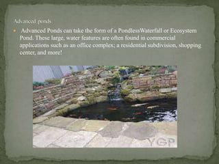  Advanced Ponds can take the form of a PondlessWaterfall or Ecosystem
Pond. These large, water features are often found in commercial
applications such as an office complex; a residential subdivision, shopping
center, and more!
 