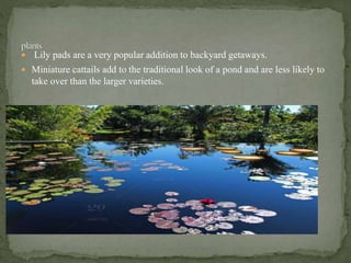  Lily pads are a very popular addition to backyard getaways.
 Miniature cattails add to the traditional look of a pond and are less likely to
take over than the larger varieties.
 