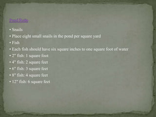 • Snails
• Place eight small snails in the pond per square yard
• Fish
• Each fish should have six square inches to one square foot of water
• 2" fish: 1 square foot
• 4" fish: 2 square feet
• 6" fish: 3 square feet
• 8" fish: 4 square feet
• 12" fish: 6 square feet
 