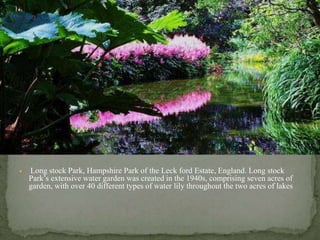  Long stock Park, Hampshire Park of the Leck ford Estate, England. Long stock
Park’s extensive water garden was created in the 1940s, comprising seven acres of
garden, with over 40 different types of water lily throughout the two acres of lakes
 