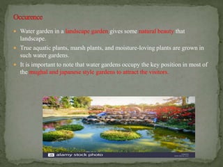  Water garden in a landscape garden gives some natural beauty that
landscape.
 True aquatic plants, marsh plants, and moisture-loving plants are grown in
such water gardens.
 It is important to note that water gardens occupy the key position in most of
the mughal and japanese style gardens to attract the visitors.
 
