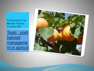 Presentation by
Mehak Fatima
12-Arid-236
Topic : post
hatvest
manageme
nt in apricot
 