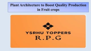 Plant Architecture to Boost Quality Production
in Fruit crops
 