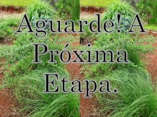 Aguarde! A Próxima Etapa.