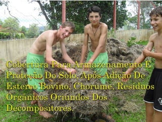 Cobertura Para Armazenamento E Proteção Do Solo, Após Adição De Esterco Bovino, Chorume, Resíduos Orgânicos Oriundos Dos Decompositores.