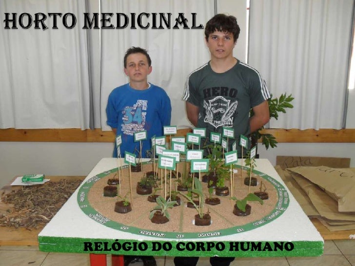 Como fazer um slide no powerpoint Como fazer um slide no powerpoint