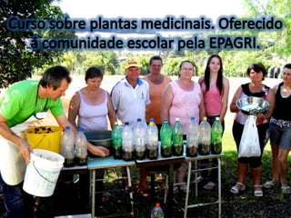 Curso sobre plantas medicinais. Oferecido á comunidade escolar pela EPAGRI.