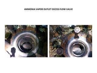 AMMONIA VAPOR OUTLET EXCESS FLOW VALVE