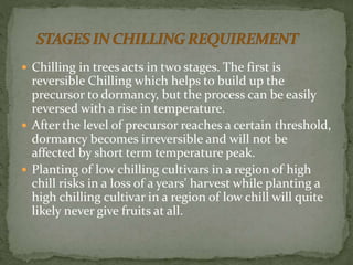 Chilling Process Chilling and heat Unit requirements for horticultural crops | PPTX