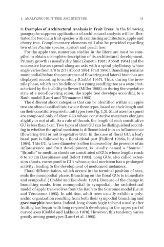 3. Examples of Architectural Analysis in Fruit Trees. In the following
paragraphs suppress applications of architectural analysis will be illus-
trated for two main fruit species with contrasting architecture, apple and
cherry tree. Complementary elements will also be provided regarding
two other Prunus species, apricot and peach tree.
For the apple tree, numerous studies in the literature must be com-
piled to obtain a complete description of its architectural development.
Primary growth is usually rhythmic (Zanette 1981; Abbott 1984) and the
successive leaves spread along an axis with a spiral phyllotaxy whose
angle varies from 3/8 to 2/5 (Abbott 1984; Pratt 1990). Branching remains
monopodial before the occurrence of flowering and lateral branches are
displayed according to acrotony (Crabbé 1987). Thus, during the juve-
nile phase, which can be defined in a young seedling tree as a state char-
acterized by the inability to flower (Miller 1988), or during the vegetative
state of a non-flowering scion, the apple tree develops according to a
Rauh model (Lauri and Térouanne 1995).
The different shoot categories that can be identified within an apple
tree are often classified into two or three types, based on their length and
on their constitutive growth unit types (see Fig. 1.3). Short axes (or spurs)
are composed only of short GUs whose constitutive metamers elongate
slightly or not at all. As a rule of thumb, the length of each constitutive
GU is less than 5 cm. Two types of short GU can be distinguished accord-
ing to whether the apical meristem is differentiated into an inflorescence
(flowering GU) or not (vegetative GU). In the case of floral GU, a leafy
basal part is followed by a floral distal part (Fulford 1966a, b; Abbott
1984). This GU, whose diameter is often increased by the presence of an
inflorescence and fruit development, is usually named a “bourse.”
“Brindle” or medium shoots are constituted of GUs whose lengths reach
6 to 20 cm (Lespinasse and Delort 1993). Long GUs, also called exten-
sion shoots, correspond to GUs whose apical meristem has a prolonged
activity, leading to the development of neoformed metamers.
Floral differentiation, which occurs in the terminal position of axes,
ends the monopodial phase. Branching on the floral GUs is immediate
and sympodial ( Crabbé and Escobedo 1991). Because of the change in
branching mode, from monopodial to sympodial, the architectural
model of apple tree evolves from the Rauh to the Scaronne model (Lauri
and Térouanne 1995). In addition, adult trees usually exhibit a poly-
archic organization resulting from both their sympodial branching and
gravimorphic reactions. Indeed, long shoots begin to bend usually after
fruiting has begun with long re-growth developing in the upper part of
curved axes (Crabbé and Lakhoua 1978). However, this tendency varies
greatly among genotypes (Lauri et al. 1995).
1. ANALYZING FRUIT TREE ARCHITECTURE 11
 