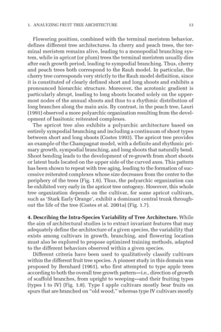 Flowering position, combined with the terminal meristem behavior,
defines different tree architectures. In cherry and peach trees, the ter-
minal meristem remains alive, leading to a monopodial branching sys-
tem, while in apricot (or plum) trees the terminal meristem usually dies
after each growth period, leading to sympodial branching. Thus, cherry
and peach trees both correspond to the Rauh model. In particular, the
cherry tree corresponds very strictly to the Rauh model definition, since
it is constituted of clearly defined short and long shoots and exhibits a
pronounced hierarchic structure. Moreover, the acrotonic gradient is
particularly abrupt, leading to long shoots located solely on the upper-
most nodes of the annual shoots and thus to a rhythmic distribution of
long branches along the main axis. By contrast, in the peach tree, Lauri
(1991) observed a more polyarchic organization resulting from the devel-
opment of basitonic reiterated complexes.
The apricot tree also exhibits a polyarchic architecture based on
entirely sympodial branching and including a continuum of shoot types
between short and long shoots (Costes 1993). The apricot tree provides
an example of the Champagnat model, with a definite and rhythmic pri-
mary growth, sympodial branching, and long shoots that naturally bend.
Shoot bending leads to the development of re-growth from short shoots
or latent buds located on the upper side of the curved axes. This pattern
has been shown to repeat with tree aging, leading to the formation of suc-
cessive reiterated complexes whose size decreases from the center to the
periphery of the trees (Fig. 1.6). Thus, the polyarchic organization can
be exhibited very early in the apricot tree ontogeny. However, this whole
tree organization depends on the cultivar, for some apricot cultivars,
such as ‘Stark Early Orange’, exhibit a dominant central trunk through-
out the life of the tree (Costes et al. 2001a) (Fig. 1.7).
4. Describing the Intra-Species Variability of Tree Architecture. While
the aim of architectural studies is to extract invariant features that may
adequately define the architecture of a given species, the variability that
exists among cultivars in growth, branching, and flowering location
must also be explored to propose optimized training methods, adapted
to the different behaviors observed within a given species.
Different criteria have been used to qualitatively classify cultivars
within the different fruit tree species. A pioneer study in this domain was
proposed by Bernhard (1961), who first attempted to type apple trees
according to both the overall tree growth pattern—i.e., direction of growth
of scaffold branches, from upright to weeping—and their fruiting types
(types I to IV) (Fig. 1.8). Type I apple cultivars mostly bear fruits on
spurs that are branched on “old wood,” whereas type IV cultivars mostly
1. ANALYZING FRUIT TREE ARCHITECTURE 13
 