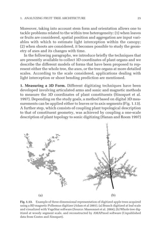Moreover, taking into account stem form and orientation allows one to
tackle problems related to the within tree heterogeneity: (1) when leaves
or fruits are considered, spatial position and aggregation are input vari-
ables with which to estimate light interception within the canopy;
(2) when shoots are considered, it becomes possible to study the geom-
etry of axes and its changes with time.
In the following paragraphs, we introduce briefly the techniques that
are presently available to collect 3D coordinates of plant organs and we
describe the different models of forms that have been proposed to rep-
resent either the whole tree, the axes, or the tree organs at more detailed
scales. According to the scale considered, applications dealing with
light interception or shoot bending prediction are mentioned.
1. Measuring a 3D Form. Different digitizing techniques have been
developed involving articulated arms and sonic and magnetic methods
to measure the 3D coordinates of plant constituents (Sinoquet et al.
1997). Depending on the study goals, a method based on digital 3D mea-
surements can be applied either to leaves or to axis segments (Fig. 1.13).
A further step, which consists of coupling plant topological description
to that of constituent geometry, was achieved by coupling a one-scale
description of plant topology to sonic digitizing (Hanan and Room 1997)
1. ANALYZING FRUIT TREE ARCHITECTURE 25
(a) (b)
Fig. 1.13. Example of three-dimensional representation of digitized apple trees acquired
using a BD magnetic Polhemus digitizer (Adam et al 2001). (a) Branch digitized at leaf scale
and visualized with VegeStar software (Source: Massonnet et al. 2004); (b) Whole tree dig-
itized at woody segment scale, and reconstructed by AMAPmod software (Unpublished
data from Costes and Sinoquet).
 