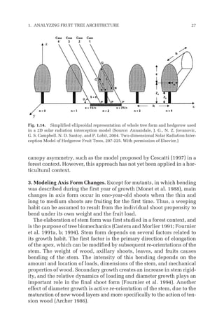 canopy asymmetry, such as the model proposed by Cescatti (1997) in a
forest context. However, this approach has not yet been applied in a hor-
ticultural context.
3. Modeling Axis Form Changes. Except for mutants, in which bending
was described during the first year of growth (Monet et al. 1988), main
changes in axis form occur in one-year-old shoots when the thin and
long to medium shoots are fruiting for the first time. Thus, a weeping
habit can be assumed to result from the individual shoot propensity to
bend under its own weight and the fruit load.
The elaboration of stem form was first studied in a forest context, and
is the purpose of tree biomechanics (Castera and Morlier 1991; Fournier
et al. 1991a, b; 1994). Stem form depends on several factors related to
its growth habit. The first factor is the primary direction of elongation
of the apex, which can be modified by subsequent re-orientations of the
stem. The weight of wood, axillary shoots, leaves, and fruits causes
bending of the stem. The intensity of this bending depends on the
amount and location of loads, dimensions of the stem, and mechanical
properties of wood. Secondary growth creates an increase in stem rigid-
ity, and the relative dynamics of loading and diameter growth plays an
important role in the final shoot form (Fournier et al. 1994). Another
effect of diameter growth is active re-orientation of the stem, due to the
maturation of new wood layers and more specifically to the action of ten-
sion wood (Archer 1986).
1. ANALYZING FRUIT TREE ARCHITECTURE 27
Fig. 1.14. Simplified ellipsoidal representation of whole tree form and hedgerow used
in a 2D solar radiation interception model (Source: Annandale, J. G., N. Z. Jovanovic,
G. S. Campbell, N. D. Santoy, and P. Lobit, 2004. Two-dimensional Solar Radiation Inter-
ception Model of Hedgerow Fruit Trees, 207-225. With permission of Elsevier.)
 