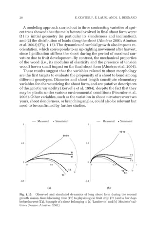 A modeling approach carried out in three contrasting varieties of apri-
cot trees showed that the main factors involved in final shoot form were:
(1) its initial geometry (in particular its slenderness and inclination),
and (2) the distribution of loads along the shoot (Alméras 2001; Alméras
et al. 2002) (Fig. 1.15). The dynamics of cambial growth also impacts re-
orientation, which corresponds to an up-righting movement after harvest,
since lignification stiffens the shoot during the period of maximal cur-
vature due to fruit development. By contrast, the mechanical properties
of the wood (i.e., its modulus of elasticity and the presence of tension
wood) have a small impact on the final shoot form (Alméras et al. 2004).
These results suggest that the variables related to shoot morphology
are the first targets to evaluate the propensity of a shoot to bend among
different genotypes. Diameter and shoot length constitute elementary
variables for characterizing the shoot form, and are putative descriptors
of the genetic variability (Kervella et al. 1994), despite the fact that they
may be plastic under various environmental conditions (Fournier et al.
2003). Other variables, such as the variation in shoot curvature over two
years, shoot slenderness, or branching angles, could also be relevant but
need to be confirmed by further studies.
28 E. COSTES, P. É. LAURI, AND J. L. REGNARD
-
0.5
0
0.5
1
-
0.5
0
0.5
1
-
–0.5
0
0.5
1
0 0.5 1
Simulated
T1
T1
T1
T1
T2
T0 T0
T0 T0
T2
T2
T2
0.5
0
0.5
1
–0.5
0
0.5
1
0 0.5 1
(a) (b)
Measured
Measured Simulated
Fig. 1.15. Observed and simulated dynamics of long shoot form during the second
growth season, from blooming time (T0) to physiological fruit drop (T1) and a few days
before harvest (T2). Example of a shoot belonging to (a) ‘Lambertin’ and (b) ‘Modesto’ cul-
tivars (Source: Alméras, 2001).
 
