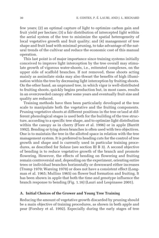 few years; (2) an optimal capture of light to optimize carbon gain and
fruit yield per hectare; (3) a fair distribution of intercepted light within
the aerial system of the tree to minimize the spatial heterogeneity of
local vegetative growth and fruit quality; and (4) management of tree
shape and fruit load with minimal pruning, to take advantage of the nat-
ural trends of the cultivar and reduce the economic cost of this manual
operation.
This last point is of major importance since training systems initially
conceived to improve light interception by the tree overall may stimu-
late growth of vigorous water-shoots, i.e., reiterated complexes, on the
upper side of scaffold branches. If not removed, these shoots acting
mainly as assimilate sinks may also thwart the benefits of high illumi-
nation within the tree by decreasing light interception by fruiting shoots.
On the other hand, an unpruned tree, in which vigor is well-distributed
to fruiting shoots, quickly begins production but, in most cases, results
in an overcrowded canopy after some years and eventually fruit size and
quality are reduced.
Training methods have then been particularly developed at the tree
scale to manipulate both the vegetative and the fruiting components.
Pruning vegetative shoots at different positions in the tree or/and at dif-
ferent phenological stages is used both for the building of the tree struc-
ture, according to a specific tree shape, and to optimize light distribution
within the canopy as in cherry (Flore et al. 1996) or in apple (Barritt
1992). Bending or tying down branches is often used with two objectives.
One is to maintain the tree in the allotted space in relation with the tree
management system. It is preferred to heading cuts for the control of tree
growth and shape and is currently used in particular training proce-
dures, as described for Solaxe (see section III B 3). A second objective
of bending is to reduce vegetative growth of the branch and promote
flowering. However, the effects of bending on flowering and fruiting
remain controversial and, depending on the experiment, orienting entire
trees or individual branches horizontally or downward either increases
(Tromp 1970; Wareing 1970) or does not have a consistent effect (Long-
man et al. 1965; Mullins 1965) on flower bud formation and fruiting. It
has been shown in apple that both the time and genotype influence the
branch response to bending (Fig. 1.16) (Lauri and Lespinasse 2001).
A. Initial Choices of the Grower and Young Tree Training
Reducing the amount of vegetative growth discarded by pruning should
be a main objective of training procedures, as shown in both apple and
pear (Forshey et al. 1992). Especially during the early stages of tree
30 E. COSTES, P. É. LAURI, AND J. L. REGNARD
 