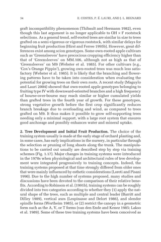 graft incompatibility phenomenon (Thibault and Hermann 1982), even
though this last argument is no longer applicable to OH × F rootstock
selections. As a general trend, self-rooted trees are similar in size to trees
grafted on a semi-vigorous or vigorous rootstock, with similar delays for
beginning fruit production (Hirst and Ferree 1995b). However, great dif-
ferences exist among scion genotypes. Some own-rooted apple cultivars
such as ‘Greensleeves’ have precocious cropping efficiency higher than
that of ‘Greensleeves’ on MM.106, although not as high as that of
‘Greensleeves’ on M9 (Webster et al. 1985). For other cultivars (e.g.,
‘Cox’s Orange Pippin’), growing own-rooted trees was much less satis-
factory (Webster et al. 1985). It is likely that the branching and flower-
ing patterns have to be taken into consideration when evaluating the
potential for growing trees on their own roots. A recent study (Maguylo
and Lauri 2004) showed that own-rooted apple genotypes belonging to
fruiting type IV with downward-oriented branches and a high frequency
of bourse-over-bourse may reach similar or higher cumulated yields
than grafted trees in the fourth year of growth. For these genotypes,
strong vegetative growth before the first crop significantly reduces
branch breakage due to overloading and wind, as compared to trees
grafted on M9. It thus makes it possible to grow self-supporting trees
needing only a minimal support, with a large root system that ensures
good anchorage and possibly enhances water and mineral uptake.
2. Tree Development and Initial Fruit Production. The choice of the
training system usually is made at the early stage of orchard planting and,
in some cases, has early implications in the nursery, in particular through
the selection or pruning of long shoots along the trunk. The manipula-
tions to be carried out usually are described step by step via training
schemes (Fig. 1.17). Major changes in training systems were introduced
in the 1970s when physiological and architectural rules of tree develop-
ment were integrated progressively to training concepts. Indeed, the
training systems proposed at that time strongly differed from older ones
that were mainly influenced by esthetic considerations (Loreti and Pisani
1990). Due to the high number of systems proposed, many studies and
discussions have been devoted to the comparison of their relative bene-
fits. According to Robinson et al. (1991b), training systems can be roughly
divided into two categories according to whether they (1) apply the nat-
ural shape of the trees, such as multiple and central leader (Barritt and
Dilley 1989), vertical axes (Lespinasse and Delort 1986), and slender
spindle forms (Wertheim 1985), or (2) restrict the canopy in a geometric
form such as the A, V, or T forms (van den Ende and Kenez 1985; Lakso
et al. 1989). Some of these tree training systems have been conceived as
34 E. COSTES, P. É. LAURI, AND J. L. REGNARD
 