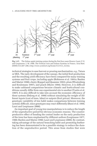 technical strategies to ease harvest or pruning mechanization, e.g., Tatura
or MIA. The early development of the canopy, the initial fruit production
and the resulting yield efficiency have been compared for many training
systems and fruit crops, including apple (Robinson et al. 1991a; Barden
and Marini 1998), cherry (Kappel and Quamme 1993), plum (Wustenberg
and Keulemans 1997), and peach (Myers 1994). However, it is difficult
to make unbiased comparisons because climatic and horticultural con-
ditions usually differ from one experimental site to another (Tustin et al.
1997). It is also difficult to take into account the economic efficiency of
these systems (DeJong et al. 1999) without simulating the weight of dif-
ferent inputs (cost of trees, labor) or outputs (fruit prices). Moreover, the
genotypic variability of tree habit makes comparisons between training
systems difficult, since genotypes may react differently (Bassi et al. 1994;
Lauri and Lespinasse 2000).
An important goal of young tree manipulations is to reduce the length
of the unproductive period for obvious economic reasons. The counter-
productive effect of heading the central leader on the early production
of the trees has been emphasized by different authors (Lespinasse 1977,
1980; Barden and Marini 1998; Lauri and Lespinasse 2000). By contrast,
taking advantage of the natural branching habit and promoting feather-
ing has been demonstrated to be a possible strategy to reduce the dura-
tion of the unproductive period. This arose from studies that were
1. ANALYZING FRUIT TREE ARCHITECTURE 35
Fig. 1.17. The Solaxe apple training system during the first four years (Source: Lauri, P. E.
and Lespinasse, J. M. 1998. The Vertical Axis and Solaxe Systems in France, Acta Hort.
(ISHS) 513:287–296.) http://www.actahort.org/books/513/513_34.htm.
 