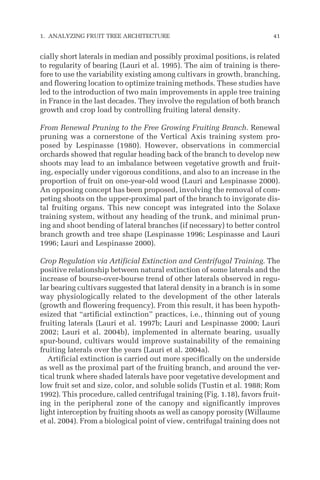 cially short laterals in median and possibly proximal positions, is related
to regularity of bearing (Lauri et al. 1995). The aim of training is there-
fore to use the variability existing among cultivars in growth, branching,
and flowering location to optimize training methods. These studies have
led to the introduction of two main improvements in apple tree training
in France in the last decades. They involve the regulation of both branch
growth and crop load by controlling fruiting lateral density.
From Renewal Pruning to the Free Growing Fruiting Branch. Renewal
pruning was a cornerstone of the Vertical Axis training system pro-
posed by Lespinasse (1980). However, observations in commercial
orchards showed that regular heading back of the branch to develop new
shoots may lead to an imbalance between vegetative growth and fruit-
ing, especially under vigorous conditions, and also to an increase in the
proportion of fruit on one-year-old wood (Lauri and Lespinasse 2000).
An opposing concept has been proposed, involving the removal of com-
peting shoots on the upper-proximal part of the branch to invigorate dis-
tal fruiting organs. This new concept was integrated into the Solaxe
training system, without any heading of the trunk, and minimal prun-
ing and shoot bending of lateral branches (if necessary) to better control
branch growth and tree shape (Lespinasse 1996; Lespinasse and Lauri
1996; Lauri and Lespinasse 2000).
Crop Regulation via Artificial Extinction and Centrifugal Training. The
positive relationship between natural extinction of some laterals and the
increase of bourse-over-bourse trend of other laterals observed in regu-
lar bearing cultivars suggested that lateral density in a branch is in some
way physiologically related to the development of the other laterals
(growth and flowering frequency). From this result, it has been hypoth-
esized that “artificial extinction” practices, i.e., thinning out of young
fruiting laterals (Lauri et al. 1997b; Lauri and Lespinasse 2000; Lauri
2002; Lauri et al. 2004b), implemented in alternate bearing, usually
spur-bound, cultivars would improve sustainability of the remaining
fruiting laterals over the years (Lauri et al. 2004a).
Artificial extinction is carried out more specifically on the underside
as well as the proximal part of the fruiting branch, and around the ver-
tical trunk where shaded laterals have poor vegetative development and
low fruit set and size, color, and soluble solids (Tustin et al. 1988; Rom
1992). This procedure, called centrifugal training (Fig. 1.18), favors fruit-
ing in the peripheral zone of the canopy and significantly improves
light interception by fruiting shoots as well as canopy porosity (Willaume
et al. 2004). From a biological point of view, centrifugal training does not
1. ANALYZING FRUIT TREE ARCHITECTURE 41
 