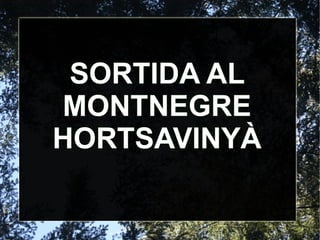 SORTIDA AL MONTNEGRE HORTSAVINYÀ 
