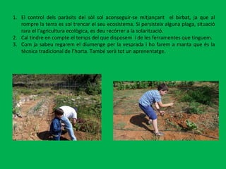 El control dels paràsits del sòl sol aconseguir-se mitjançant  el birbat, ja que al rompre la terra es sol trencar el seu ecosistema. Si persisteix alguna plaga, situació rara el l’agricultura ecològica, es deu recórrer a la solarització.  Cal tindre en compte el temps del que disposem  i de les ferramentes que tinguem. Com ja sabeu regarem el diumenge per la vesprada i ho farem a manta que és la tècnica tradicional de l’horta. També serà tot un aprenentatge.  