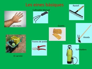Les eines bàsiques Les mans El carretó Aixada Rastell Tisores de podar Guants Sulfatadora Cultivador Manual 
