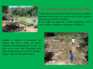 Un exemple la tècnica del bancal fondo  L’experiència de molts horticultors  els ha dut a utilitzar aquesta tècnica, que és la que permet el millor  sistema de preparació del sol i de cultiu. El seu origen al segle XIX a París. Dimensions 1,50 m com a màxim  d’amplària, la llargària  indiferent.  Duplica o triplica la producció del sistema de solc o línea. El secret, l’abonat profund del bancal i un sol  tou que no es xafa mai. Encoixinat amb palla, d’eixa manera hi ha més humitat i evitem l’aparició de males herbes.  